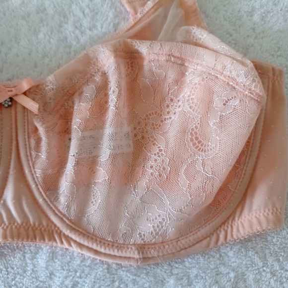 Wacoal Pink Full Coverage Bra with Mesh Texture, Size 38DD - Picture 9 of 16